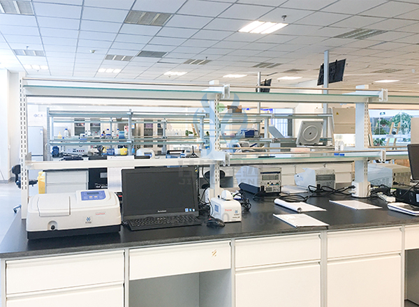 【佳学基因案例】家族性痉挛性截瘫基因检测、基因解码
